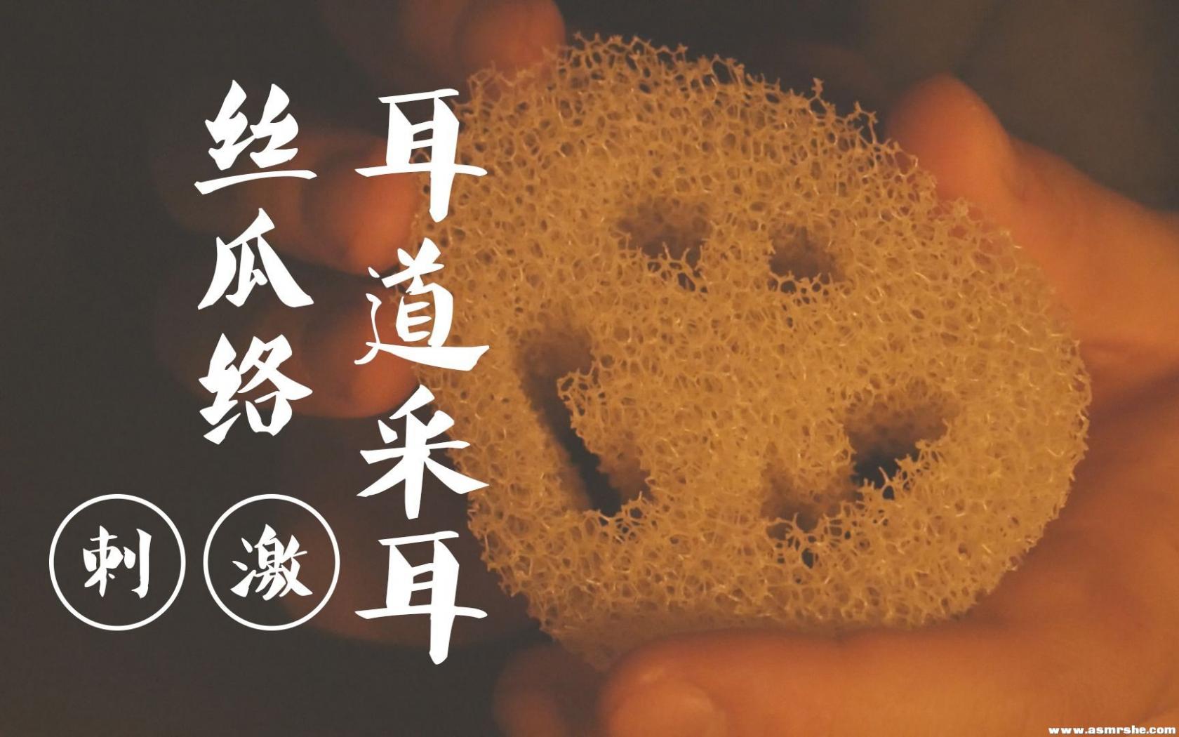 【CZ ASMR】丝瓜络耳道深入,刺激的采耳,硅胶刷+鹅毛棒+吹气+揉捏（无人声） ...插图