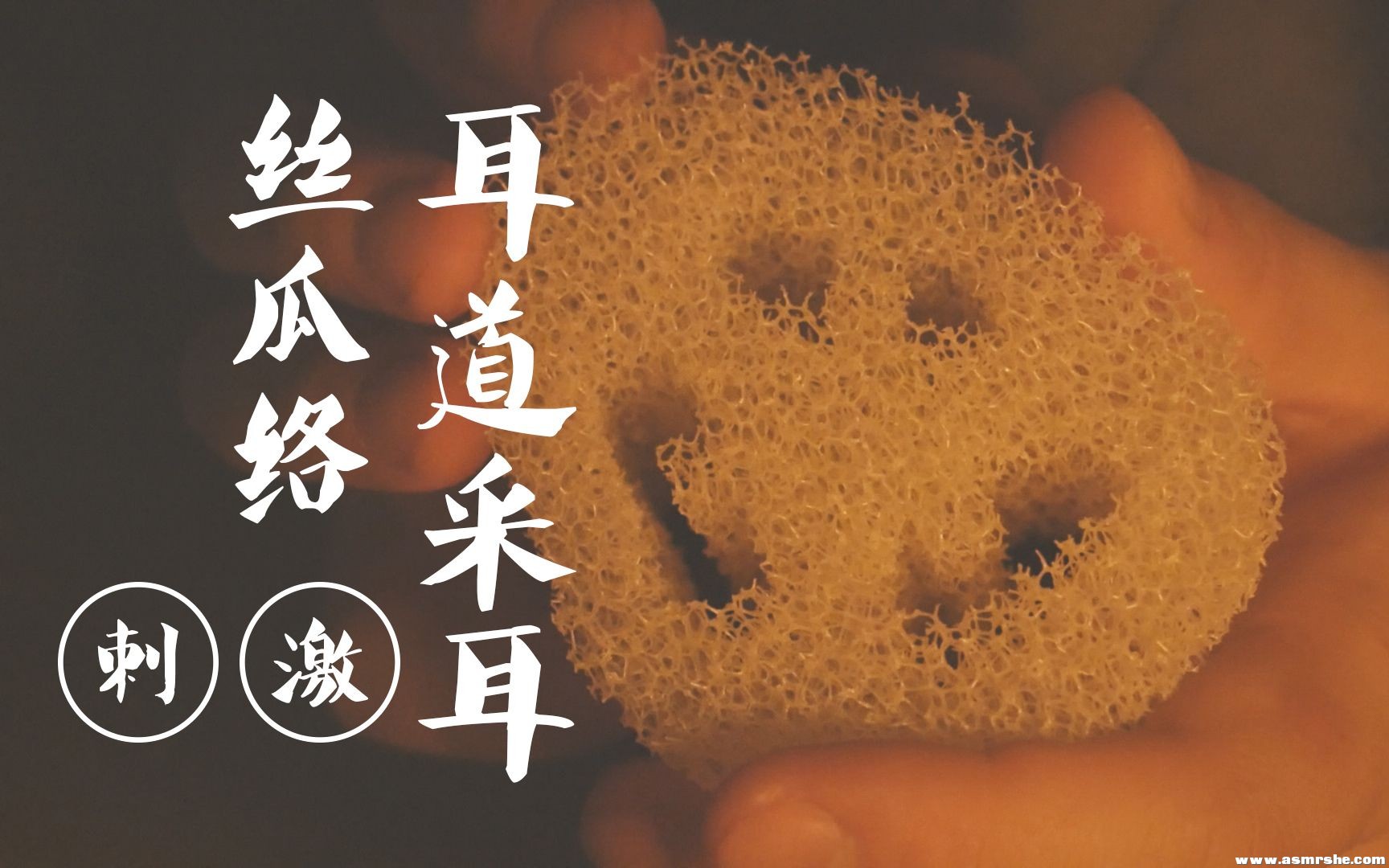 【CZ ASMR】丝瓜络耳道深入,刺激的采耳,硅胶刷+鹅毛棒+吹气+揉捏（无人声） ...-助眠云视听