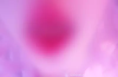 小羊喵_【祝哥哥2024元旦快乐】今天是梦幻的粉色芭比，希望哥哥会喜欢-助眠云视听