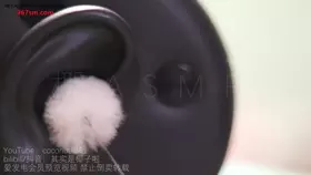 椰子_N清理耳朵后近距离天鹅-助眠云视听