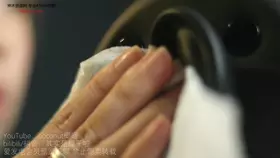 其实是椰子啦_N双耳普通天鹅-助眠云视听