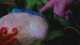 yoonying_触手岛冒险角色扮演_触手岛冒险角色扮演-助眠云视听