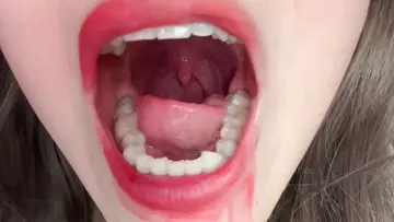 小灿助眠_8.5口腔检查-助眠云视听